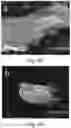 Fig. 09 - Material production and application using azole functionalized nanosilica