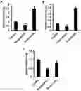 Fig. 01 - Gene and cell therapy using cell fusion technology