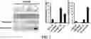 Fig. 03 - Gene and cell therapy using cell fusion technology