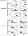 Fig. 06 - Gene and cell therapy using cell fusion technology