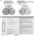 Fig. 09 - Gene and cell therapy using cell fusion technology