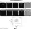 Fig. 13 - Gene and cell therapy using cell fusion technology