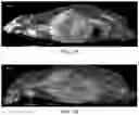 Fig. 02 - Imaging agents and methods of using the same