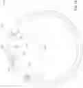 Fig. 13 - Urinary intermittent catheter