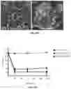 Fig. 17 - Esculentin 1a derivatives and uses thereof