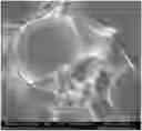 Fig. 01 - SUPERPOROUS HYDROGELS, METHODS OF MAKING THE SAME, AND ARTICLES INCORPORATING THE SAME