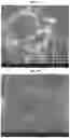 Fig. 02 - SUPERPOROUS HYDROGELS, METHODS OF MAKING THE SAME, AND ARTICLES INCORPORATING THE SAME