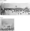 Fig. 09 - ELASTIN REDUCTION ALLOWING RECELLULARIZATION OF CARTILAGE IMPLANTS
