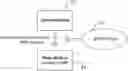 Fig. 01 - COMPOSITIONS CONTAINING BONE MORPHOGENIC PROTEINS AND METHODS THEROF