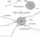 Fig. 01 - Immobilised biological entities