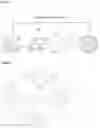 Fig. 02 - Immobilised biological entities