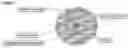 Fig. 03 - Immobilised biological entities