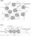 Fig. 06 - Immobilised biological entities