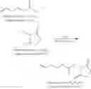 Fig. 47 - Immobilised biological entities