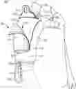 Fig. 01 - WEARABLE FLUID DELIVERY SYSTEM