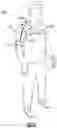 Fig. 22 - WEARABLE FLUID DELIVERY SYSTEM