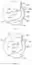 Fig. 05 - Inhalation Device for Administering Powdered Pharmaceutical Composition