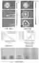 Fig. 91 - Components with high API loading