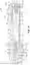 Fig. 15 - Microneedle injection and infusion apparatus and method of using same