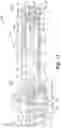 Fig. 16 - Microneedle injection and infusion apparatus and method of using same