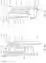Fig. 09 - PRIMING CAP