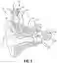 Fig. 02 - External system for implanted medical devices