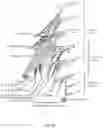 Fig. 05 - Antenna and methods of use for an implantable nerve stimulator
