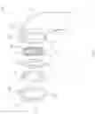 Fig. 02 - Transparent head for a skin treatment device