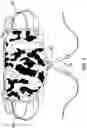 Fig. 06 - HARNESS MOUNTABLE INSULATING ASSEMBLY AND SYSTEM