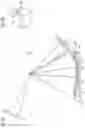 Fig. 09 - Amusement ride