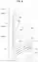 Fig. 09 - Desiccant fitting