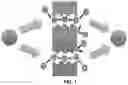 Fig. 02 - Assembly of charge mosaic membranes from ionic polymers