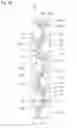 Fig. 10 - MIXING SEGMENT, STATIC MIXER, DISPENSING ASSEMBLY AND METHOD OF MIXING MULTI-COMPONENT MATERIAL