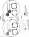 Fig. 05 - Multiple beads per droplet resolution