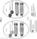 Fig. 06 - Multiple beads per droplet resolution