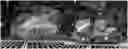 Fig. 01 - Moisture absorbent pack for vehicle lamp