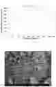 Fig. 03 - Moisture absorbent pack for vehicle lamp