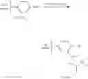 Fig. 07 - Weak ion exchange particulate medium prepared from phenol-containing organic matter for anions contained in aqueous solutions