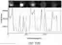 Fig. 35 - Oligonucleotide encoded chemical libraries