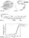 Fig. 07 - Microfluidic systems and methods for lipoplex-mediated cell transfection