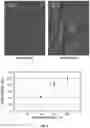 Fig. 09 - SURFACE-BASED DETECTION OF NUCLEIC ACID IN A CONVECTION FLOW FLUIDIC DEVICE