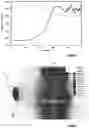 Fig. 04 - Measuring magnetite buildup in a magnetic filter