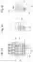 Fig. 06 - DEVICE FOR SPRAYING ADHESIVE AND METHOD
