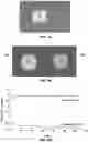 Fig. 08 - Methods of forming near-net shape structures from non-stoichiometric oxides