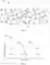 Fig. 02 - Powder bed materials