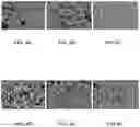 Fig. 04 - Powder bed materials