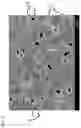 Fig. 09 - Method for producing rare earth aluminate sintered body
