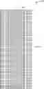 Fig. 01 - ROLL BONDING OF DISSIMILAR METALS