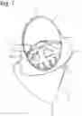 Fig. 07 - Link for an articulated manipulator