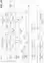 Fig. 17 - Affordance-aware, multi-resolution, free-form object manipulation planning